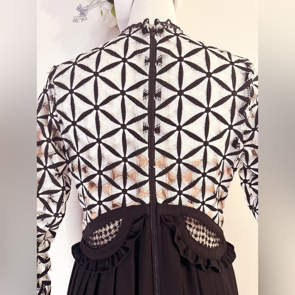 Self-Portrait Black & White Lace Pleated Maxi Dress - Picture 11 of 14